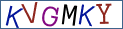 Type the letters shown in the picture